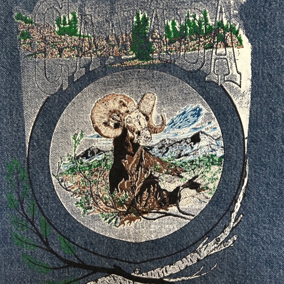 Vintage Denim Western Vest - Picture 4 of 4